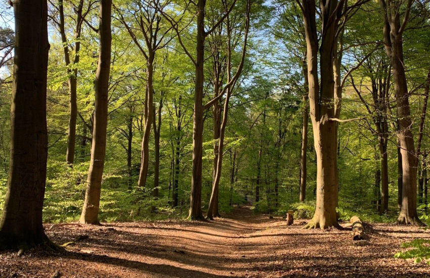 Hoogtemeters maken in de Achterhoek