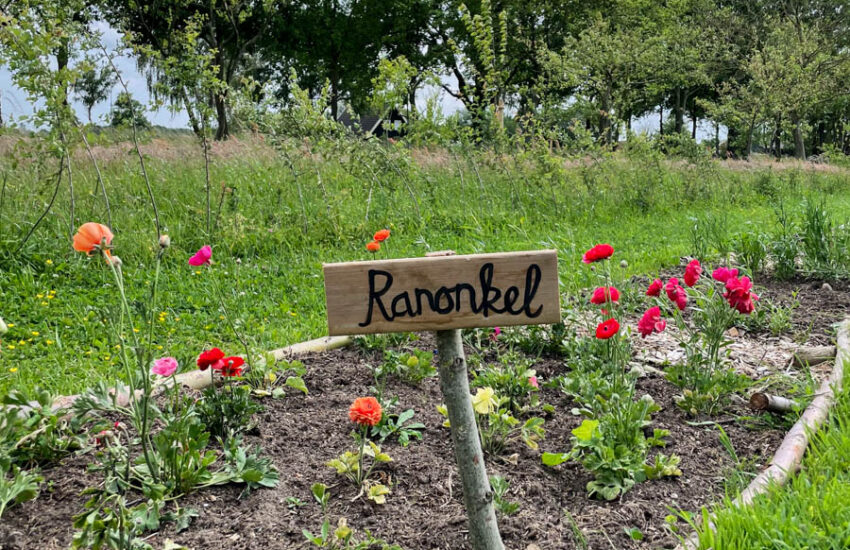Pluktuin B&B 't Bievink