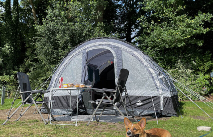Kamperen met hond bij Camping Klompenmakerij Ten Hagen in Winterswijk