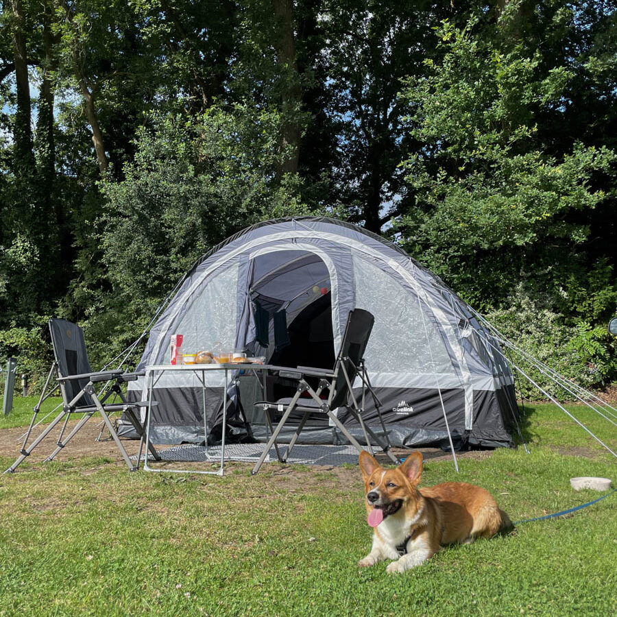 Kamperen met hond bij Camping Klompenmakerij Ten Hagen in Winterswijk