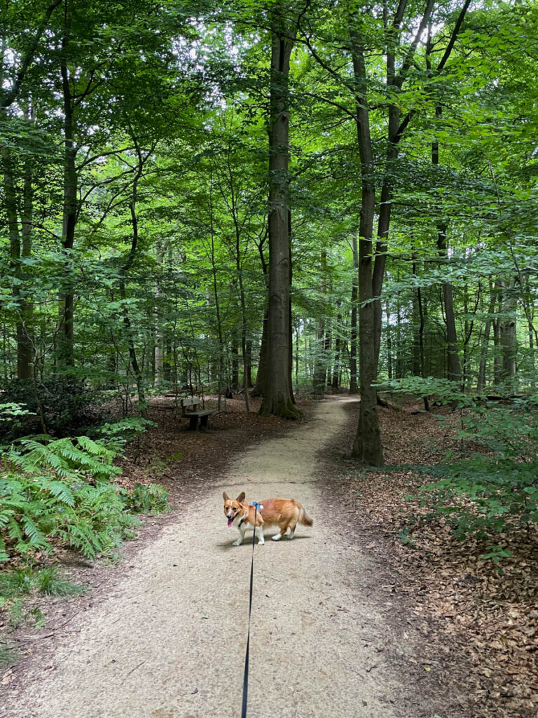 Wandelen bij Landgoed Slangenburg