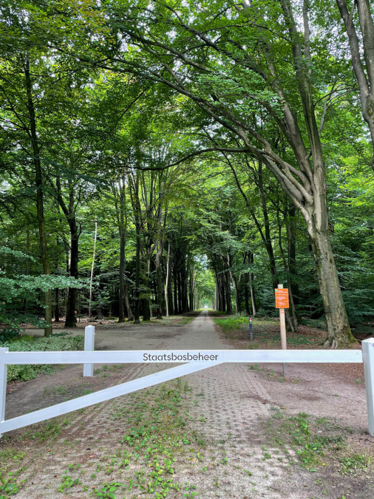 Wandelen bij Landgoed Slangenburg