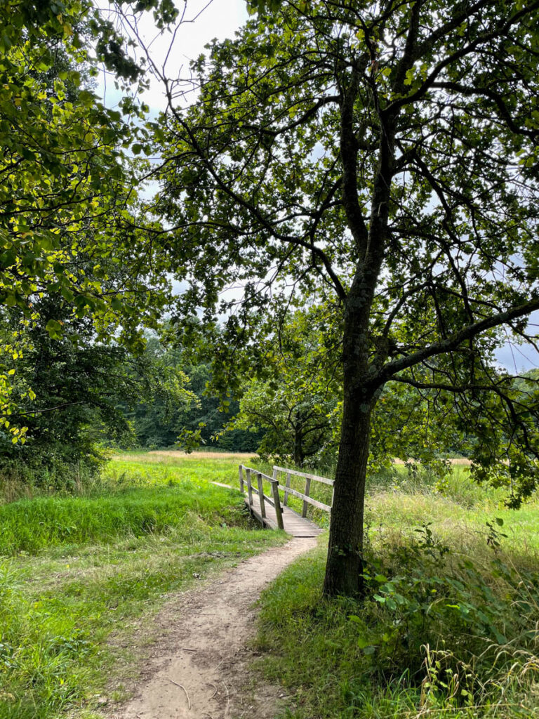 Wandelen bij Landgoed Slangenburg