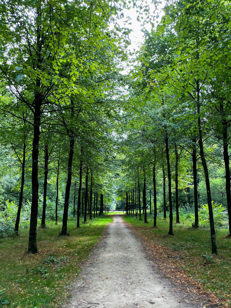 Wandelen bij Landgoed Slangenburg